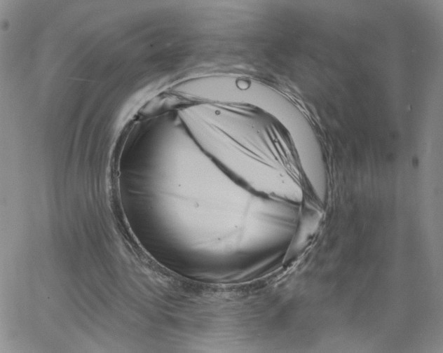 X0000064740340200603131324