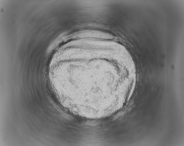 X0000064740341200603131324