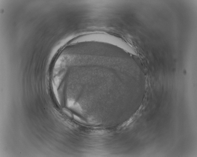 X0000064740342200603131324