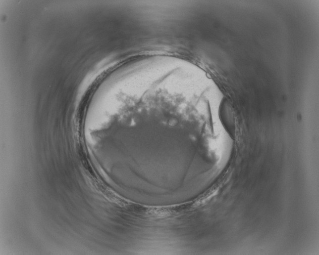 X0000064740343200603131324