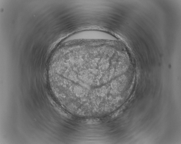 X0000064740345200603131324