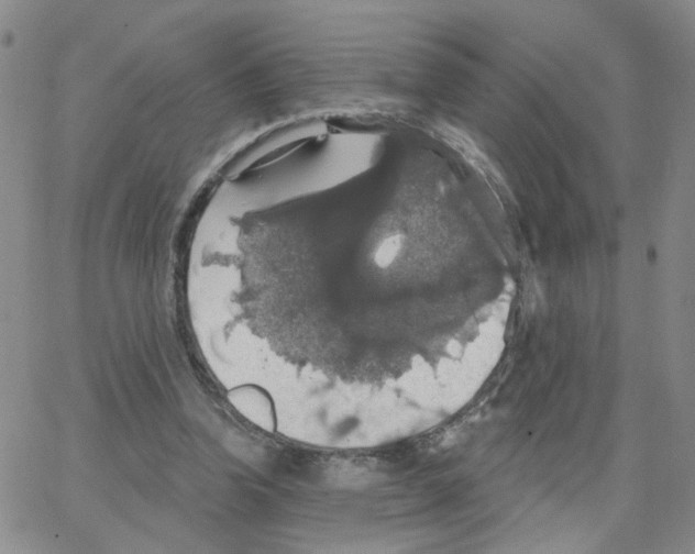 X0000064740346200603131324