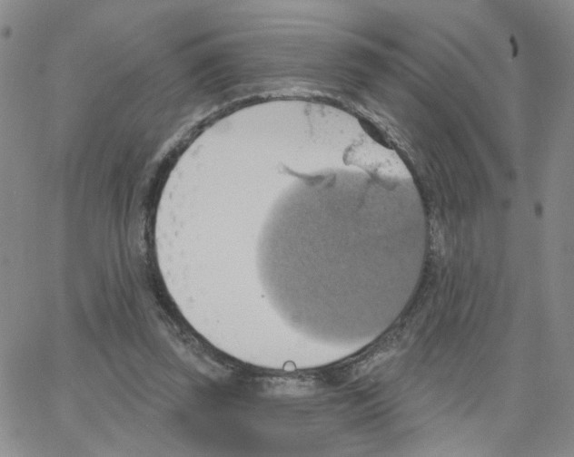 X0000064740347200603131324