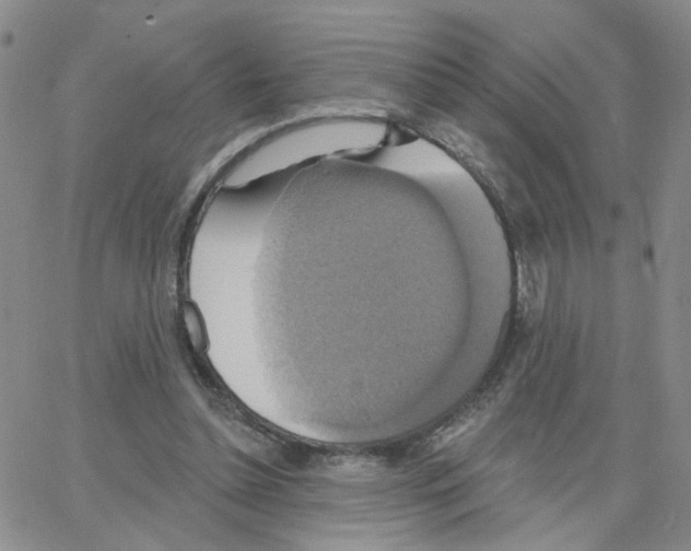 X0000064740348200603131324