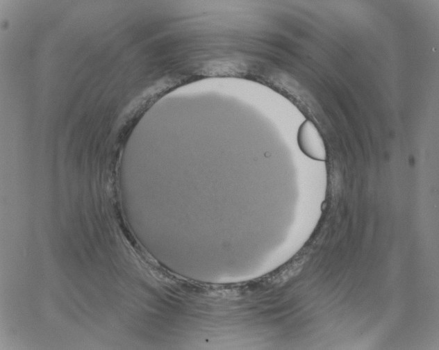 X0000064740353200603131324