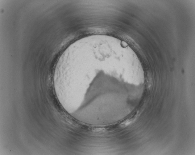 X0000064740355200603131324