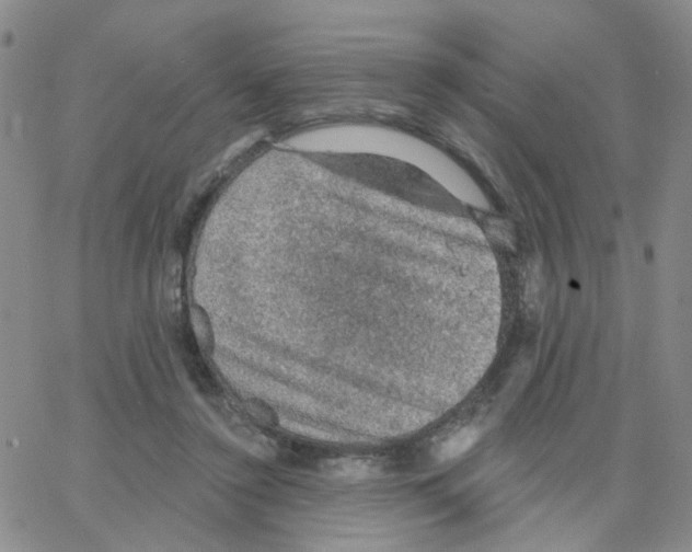 X0000064740356200603131324