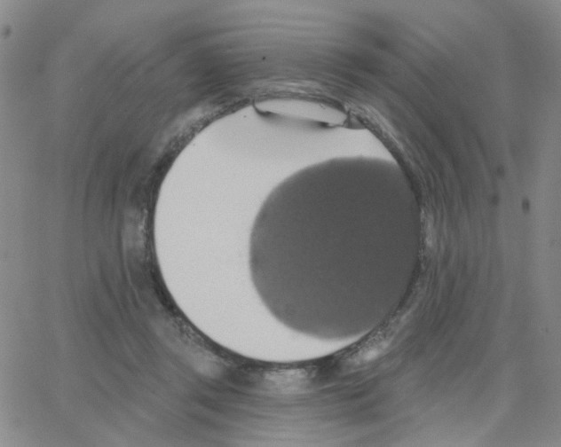 X0000064740357200603131324