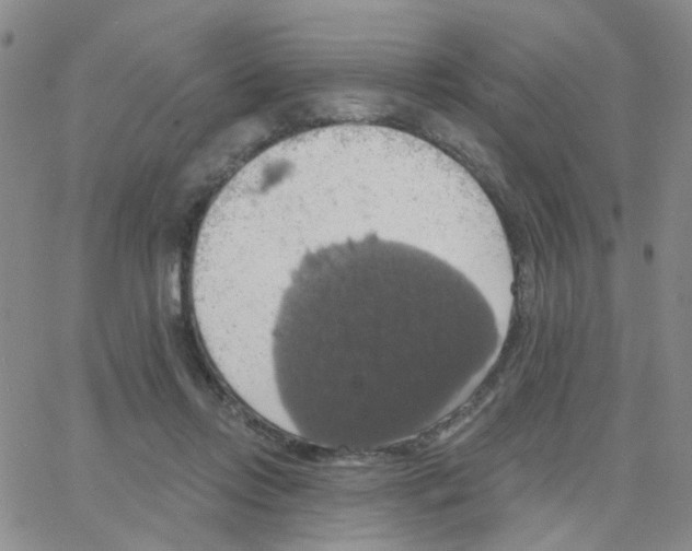 X0000064740358200603131324