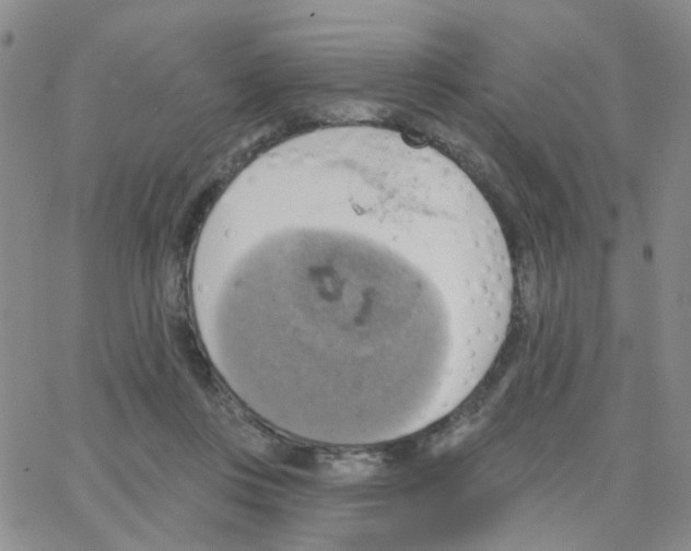 X0000064740359200603131324