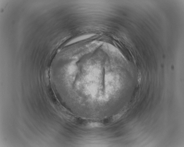 X0000064740360200603131324