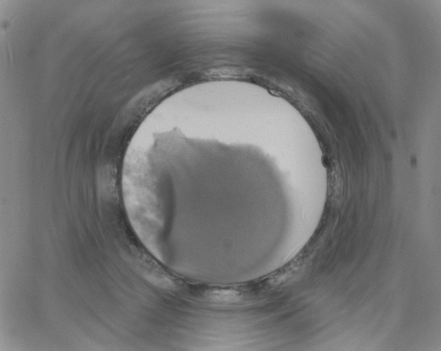 X0000064740361200603131324