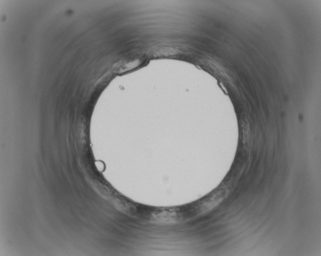 X0000064740362200603131324