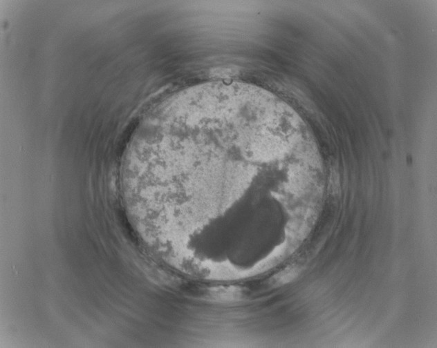 X0000064740363200603131324