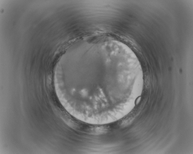 X0000064740365200603131324