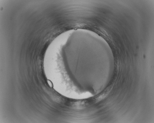 X0000064740366200603131324