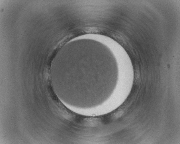 X0000064740367200603131324