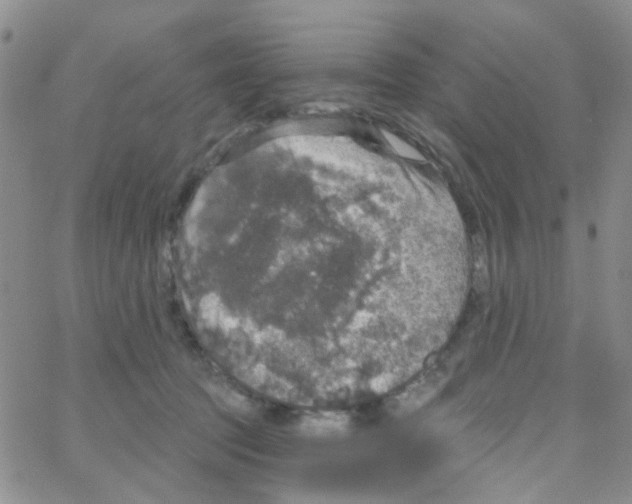 X0000064740369200603131324