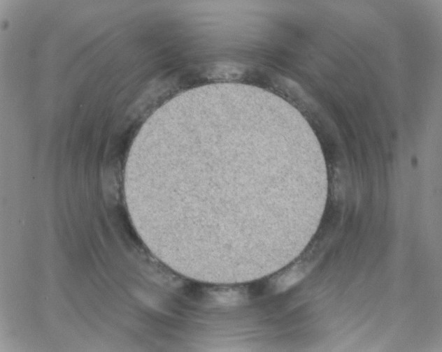 X0000064740370200603131324