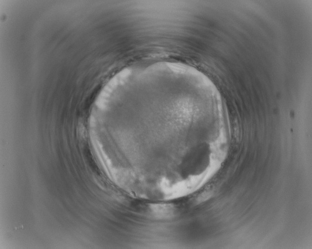 X0000064740371200603131324