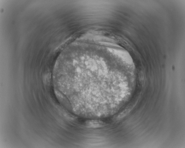 X0000064740372200603131324