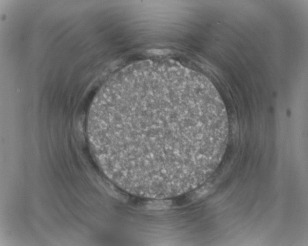 X0000064740373200603131324