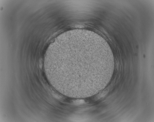 X0000064740374200603131324