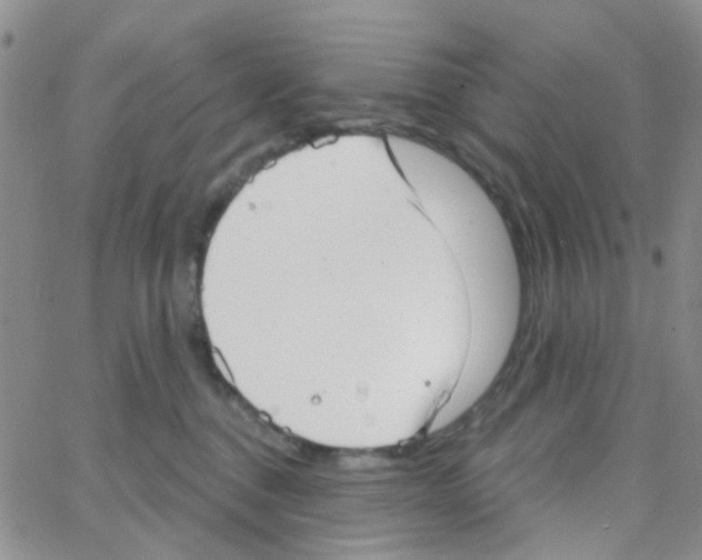 X0000064740376200603131324