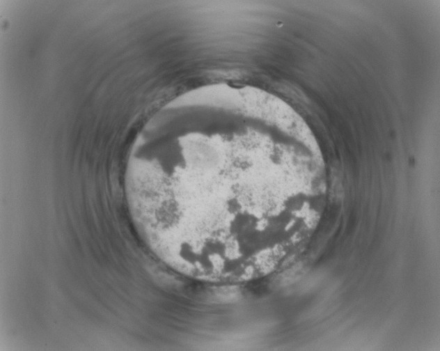 X0000064740377200603131324