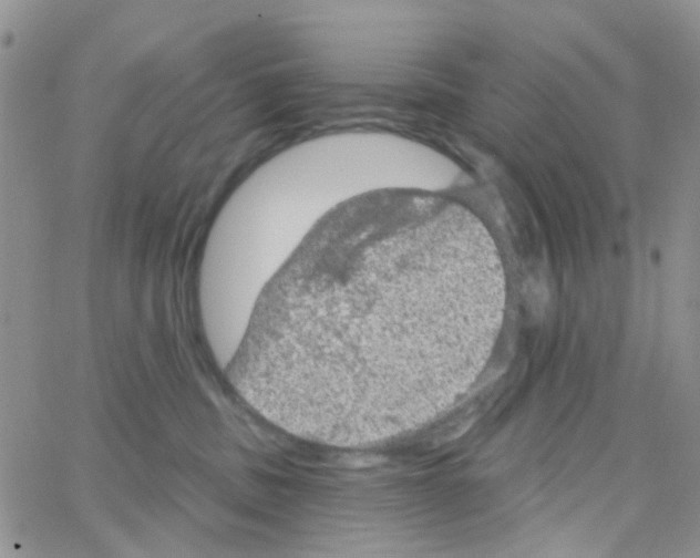 X0000064740379200603131324