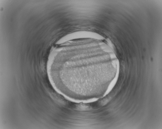 X0000064740380200603131324