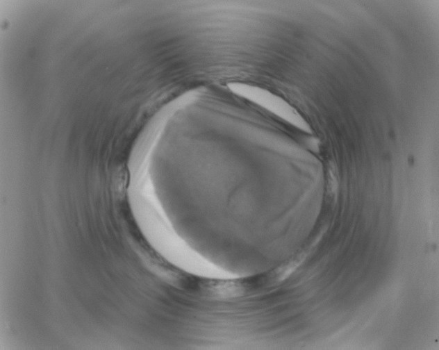 X0000064740383200603131324