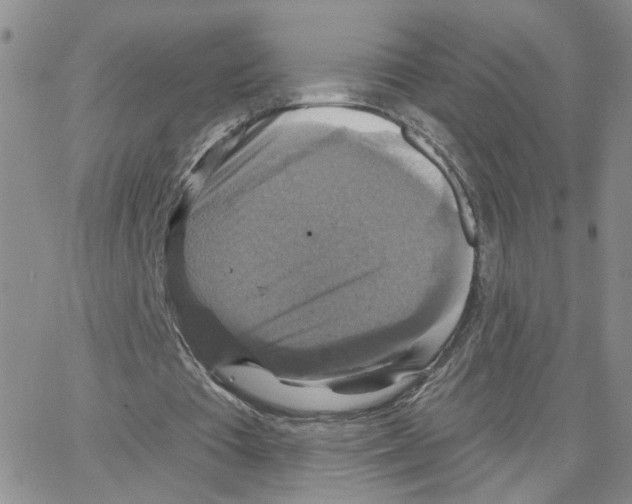 X0000064740385200603131324