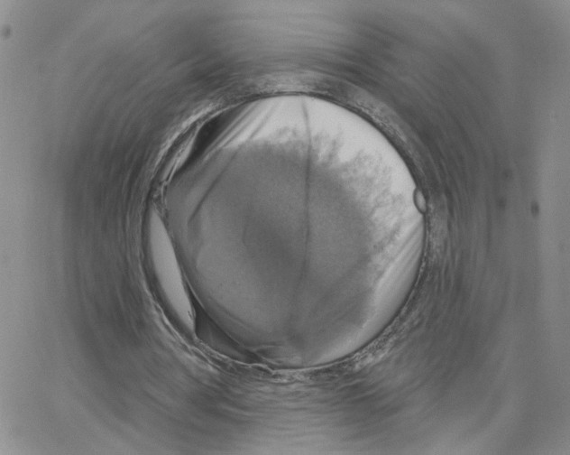 X0000064740386200603131324