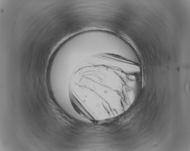 X0000064740387200603131324