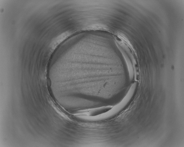 X0000064740389200603131324