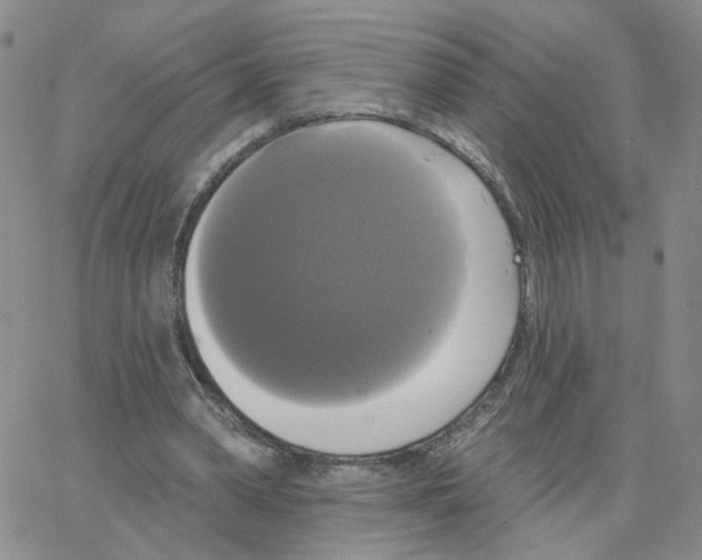 X0000064740390200603131324