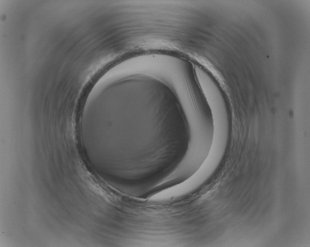 X0000064740391200603131324