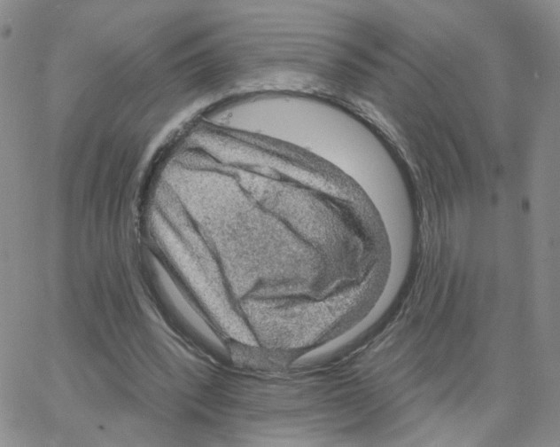 X0000064740392200603131324