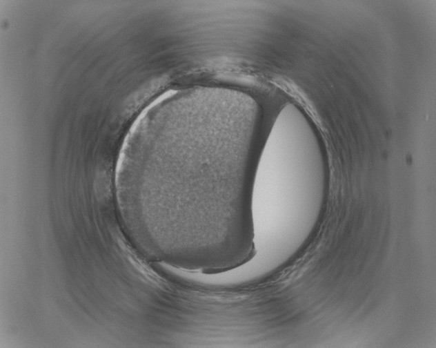 X0000064740393200603131324