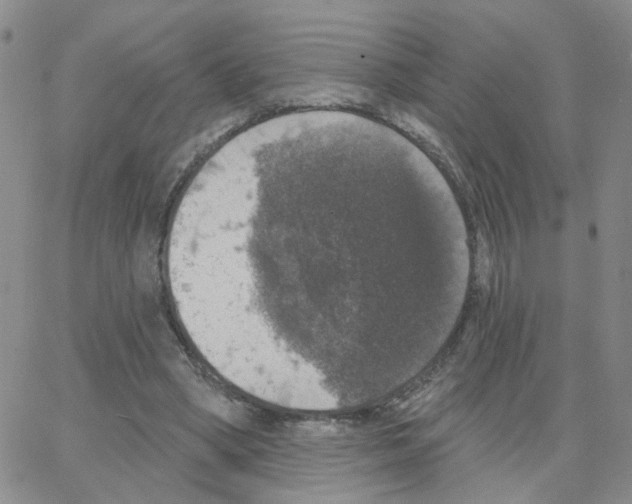 X0000064740394200603131324