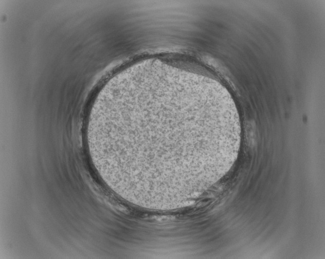 X0000064740395200603131324