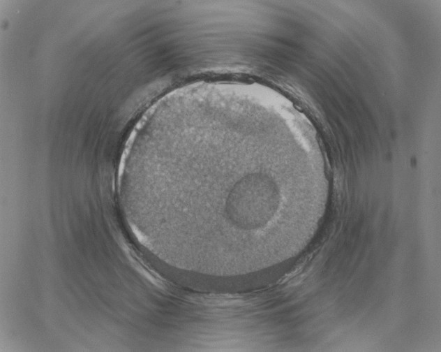 X0000064740397200603131323