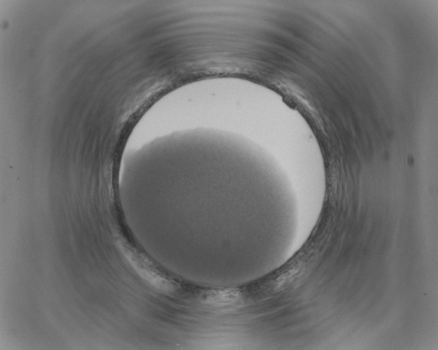 X0000064740398200603131323