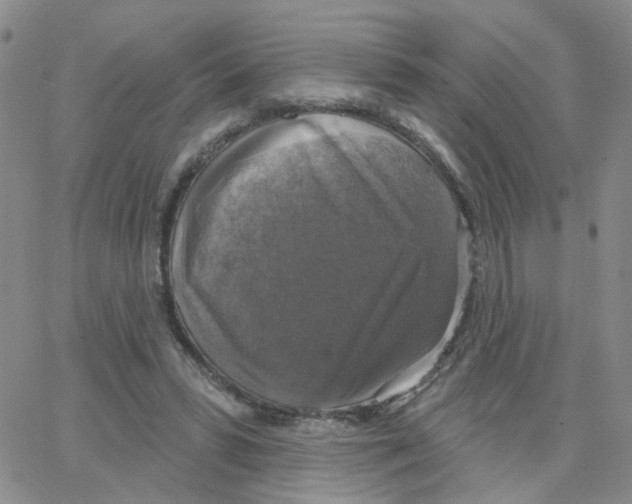 X0000064740399200603131323