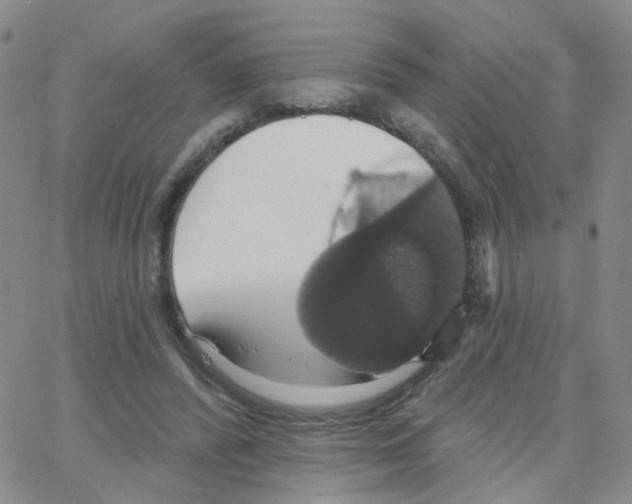 X0000064740400200603131323