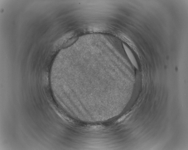 X0000064740401200603131323