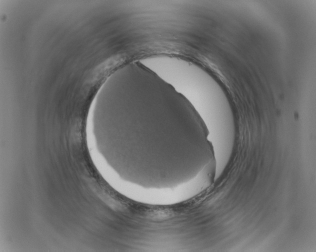 X0000064740402200603131323