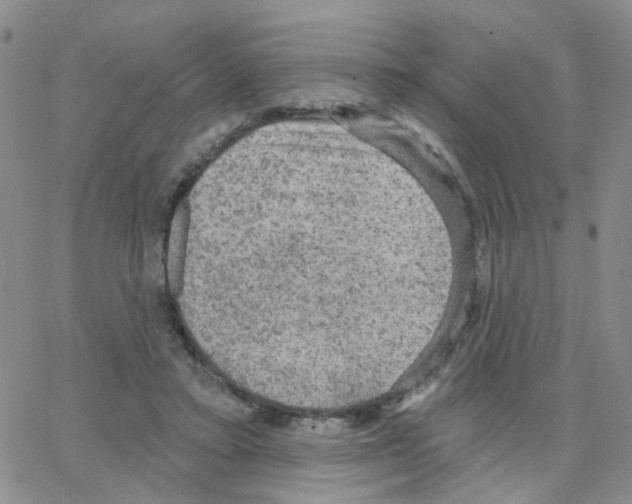 X0000064740403200603131323