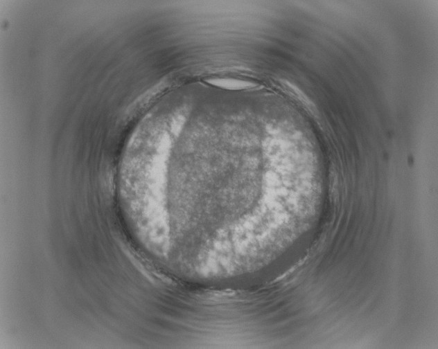 X0000064740405200603131323